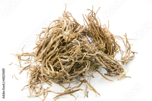 Vetiveria zizanioides (L.) Nash ex Small on white background