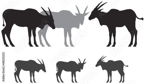 Common eland antelope silhouettes