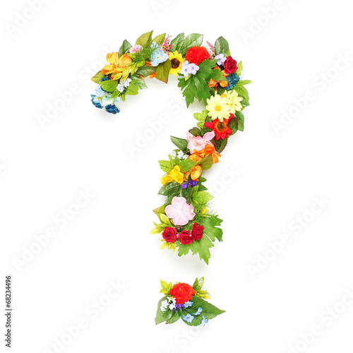 Question mark made of leaves and flowers