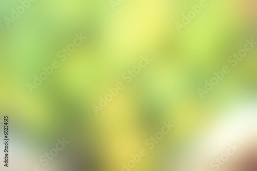 blurred green background texture