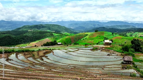 Hd Time Lapse Pabongpiang Rice Field