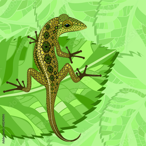lizard in the green