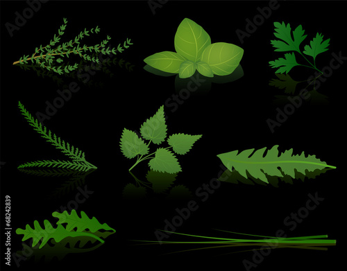 Herbs Black