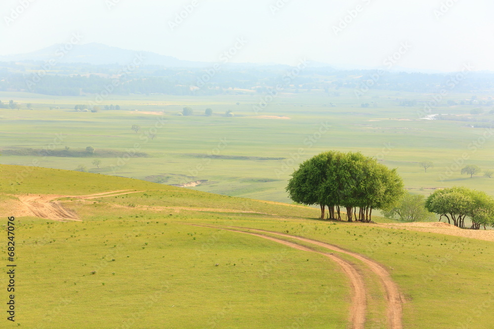 Fototapeta premium prairie