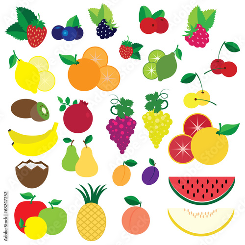 Colorful fruits and berries vector