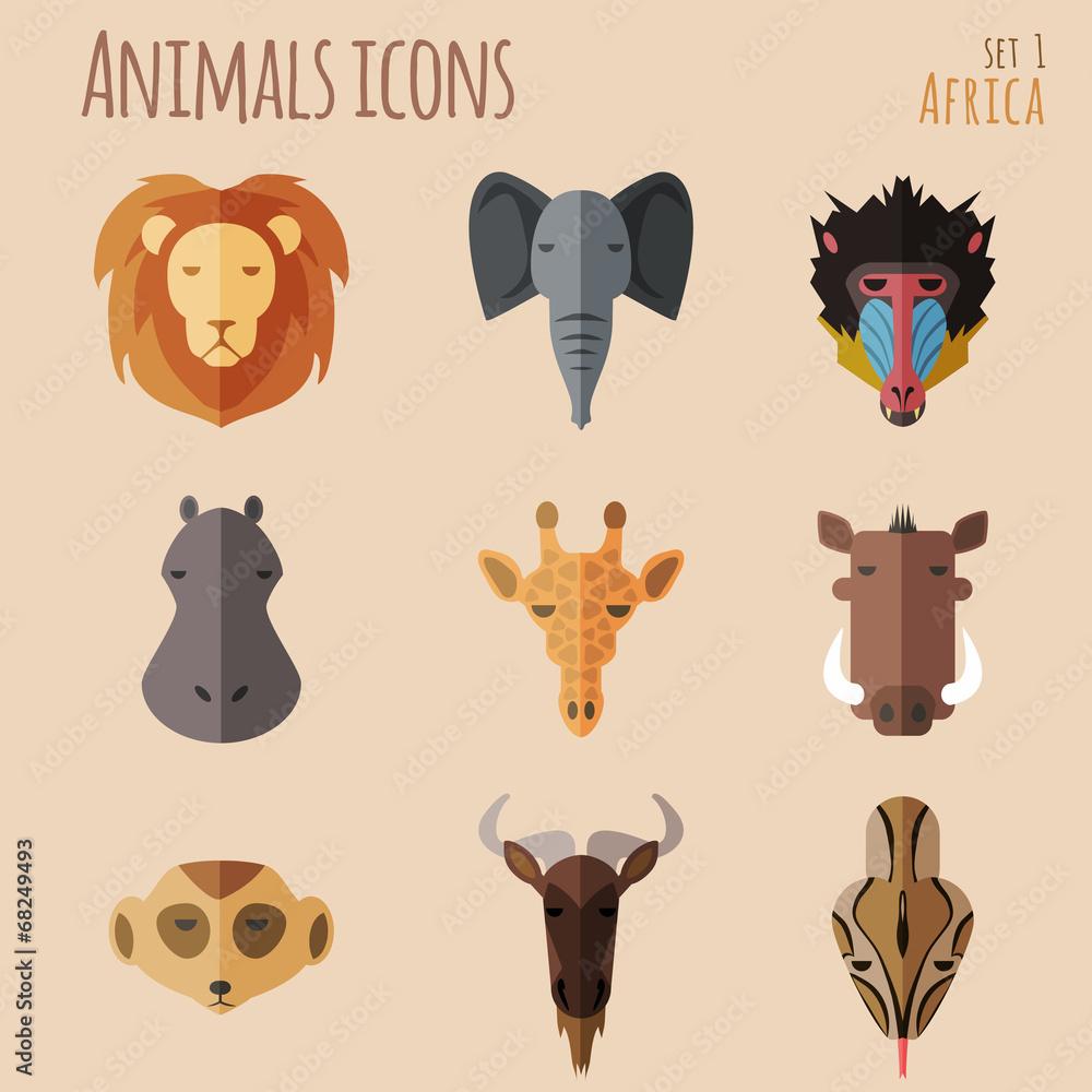 Fototapeta premium African Animal Portrait Set with Flat Design