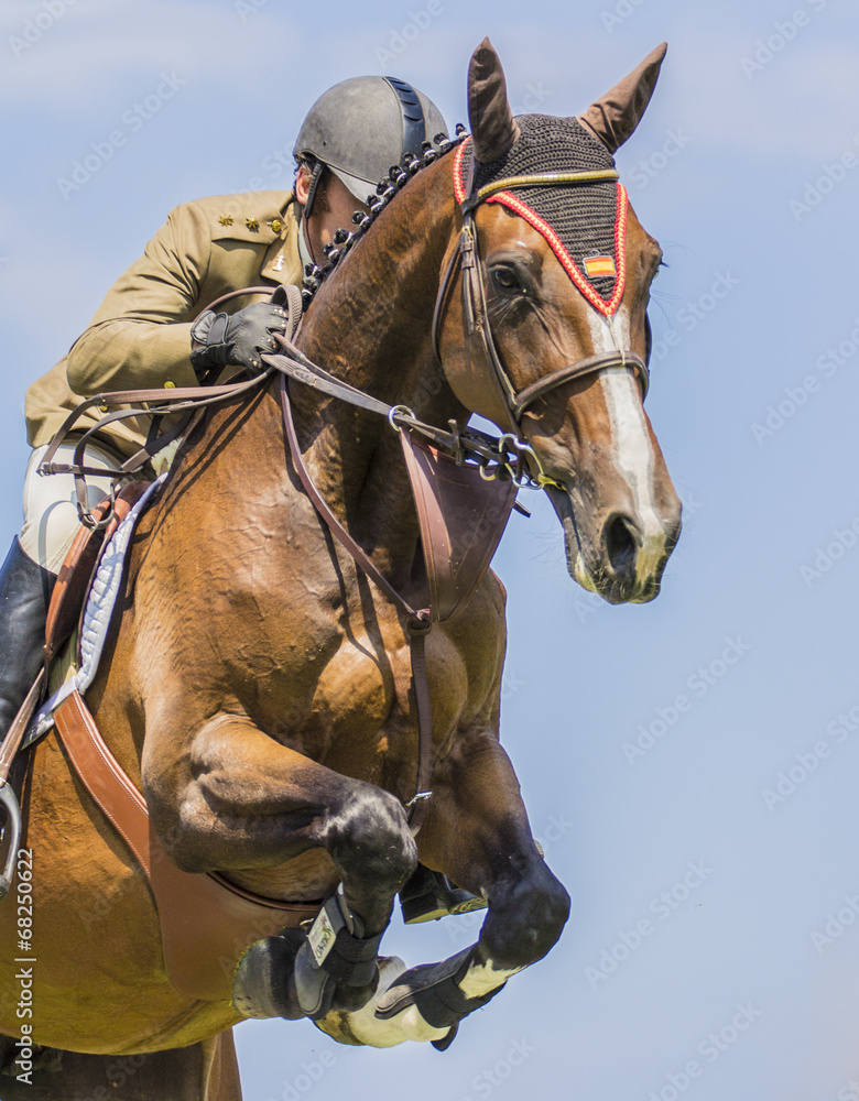 Fototapeta premium jinete saltando obstáculo