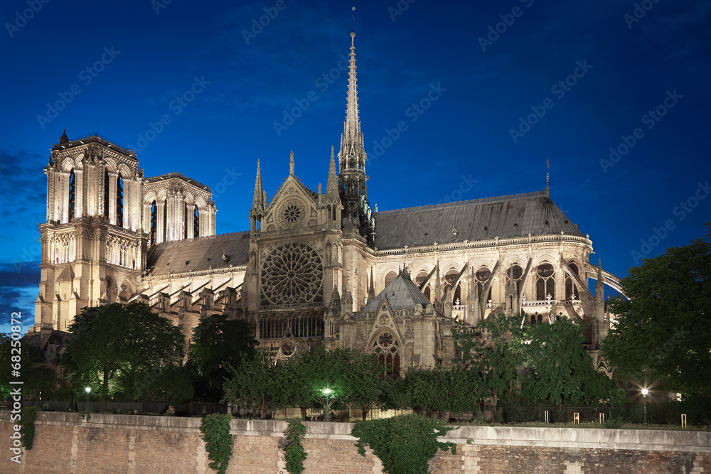 Notre Dame de Paris cathedral at night, side view