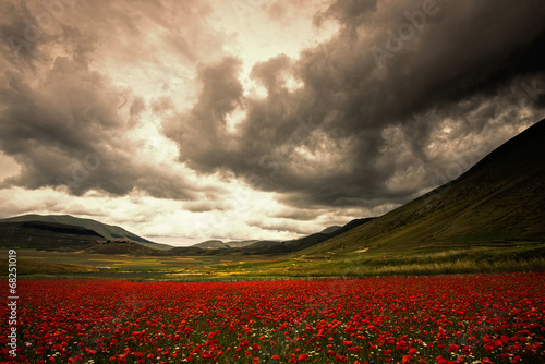 Castelluccio di Norcia temporale sui monti