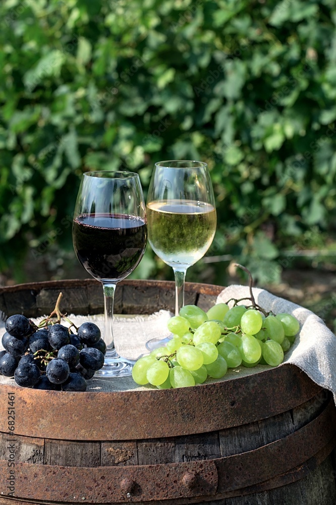Red and white wine with grapes in nature