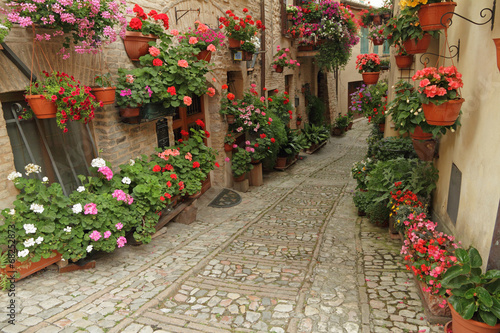 old paved street with incredible many flowers, village Spello