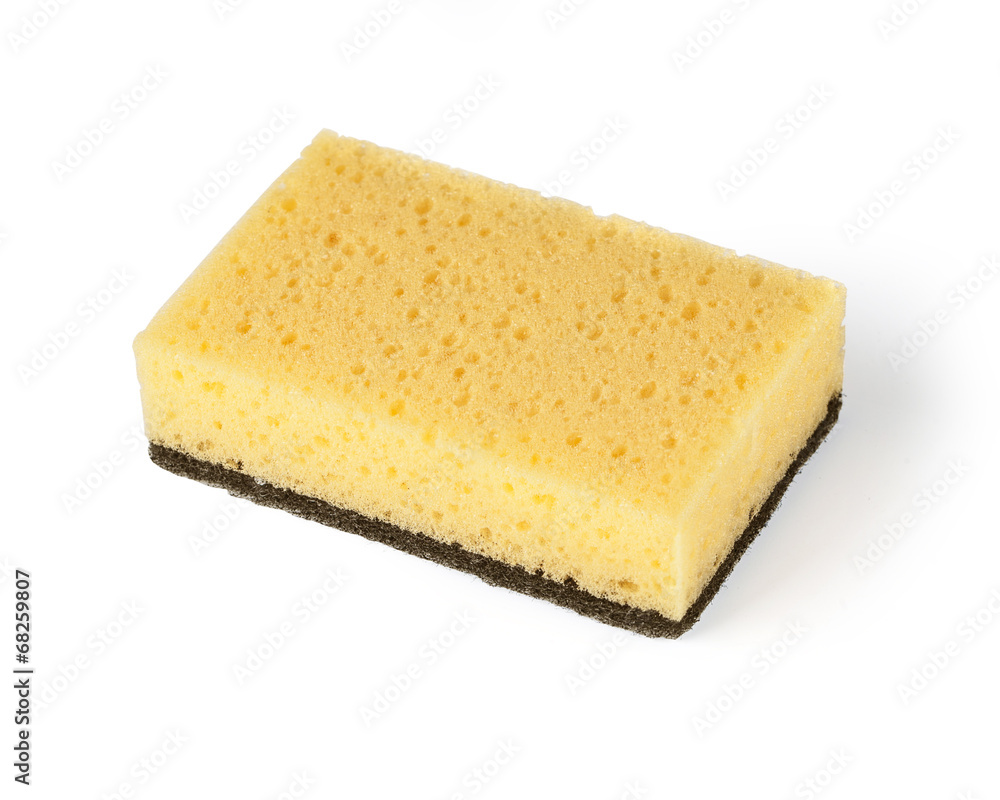 household sponge