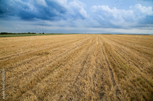 Wheat stubble field over stormy cloudscape photo