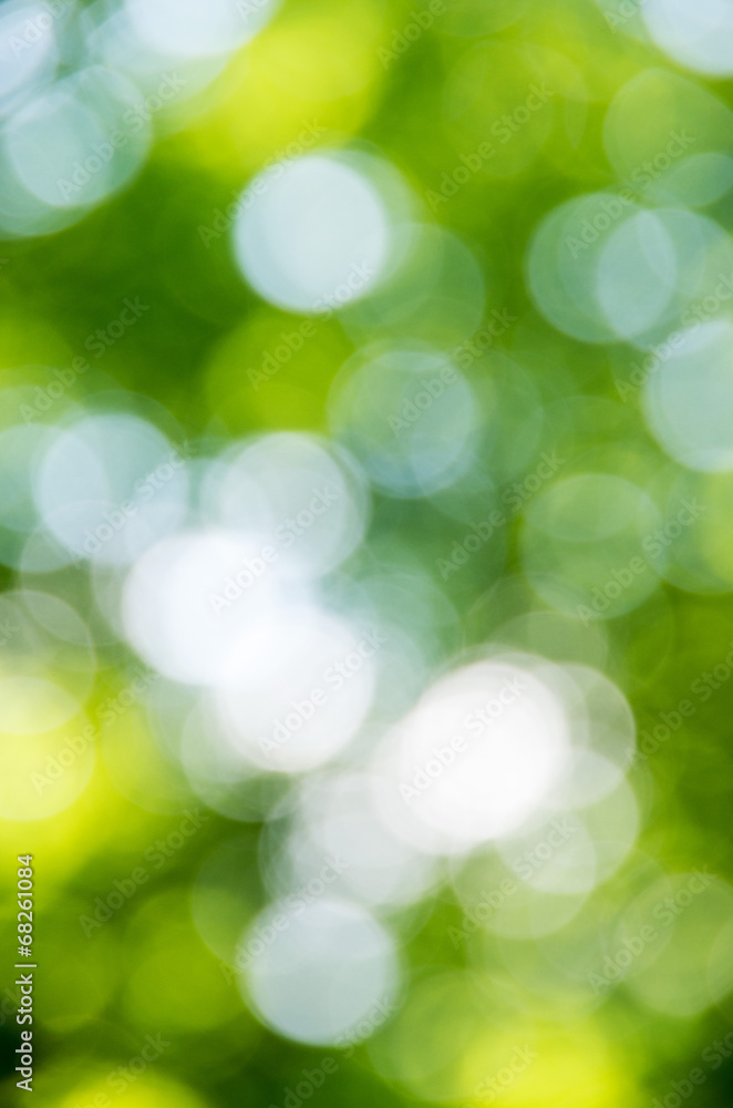 Fototapeta premium Natural blurred background.