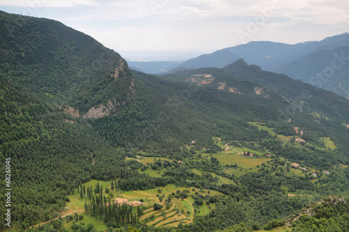 Landscape of beech forest