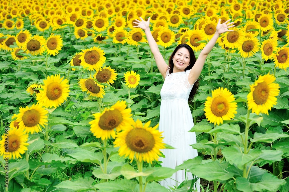 ひまわり畑と白いワンピースを着たアジア人の女性 Stock Foto Adobe Stock