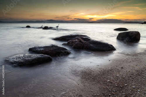 Rocks and Birds seascape sunset orange skies