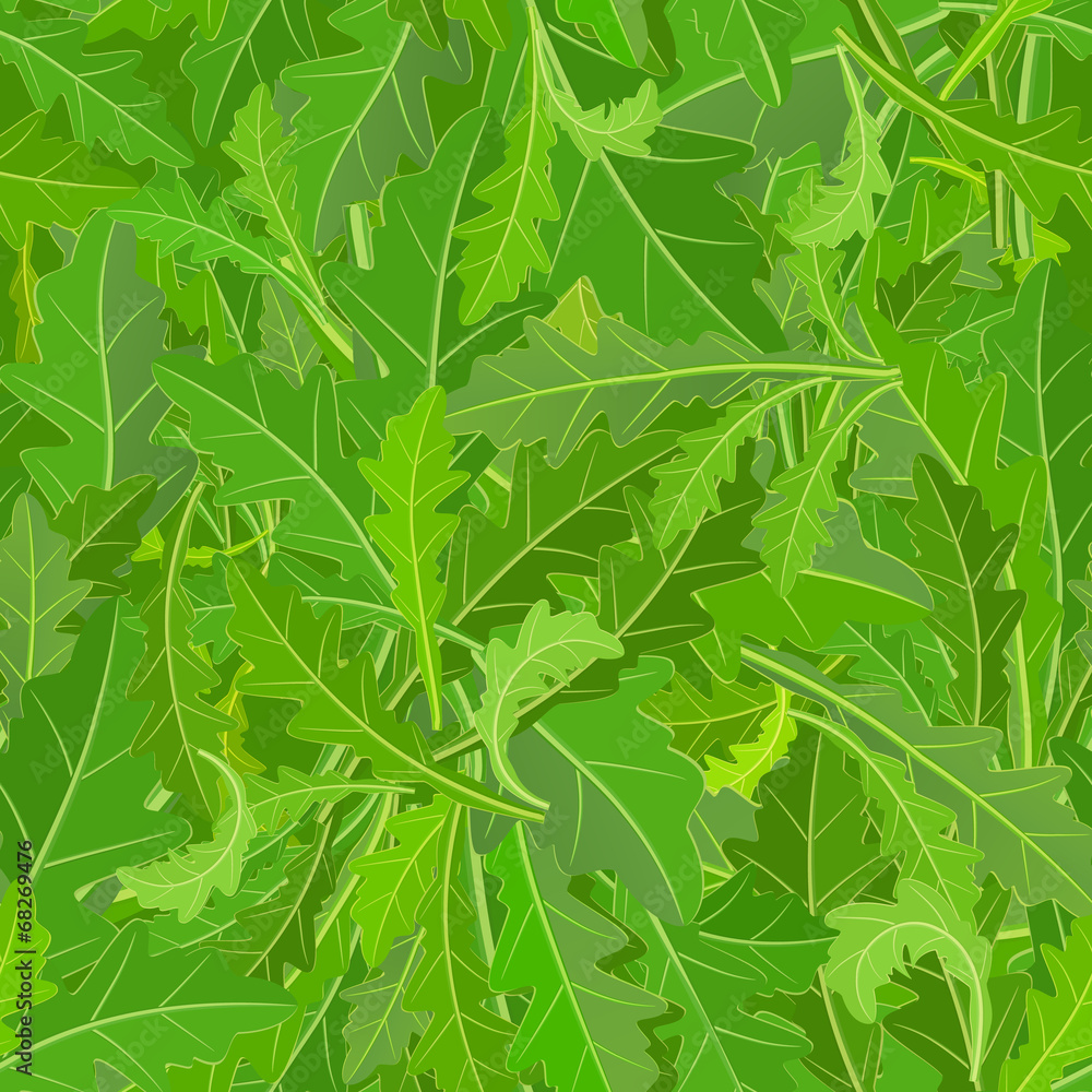 seamless texture of leaf arugula seamless texture of leaf arugula