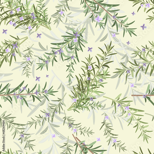 seamless texture of rosemary