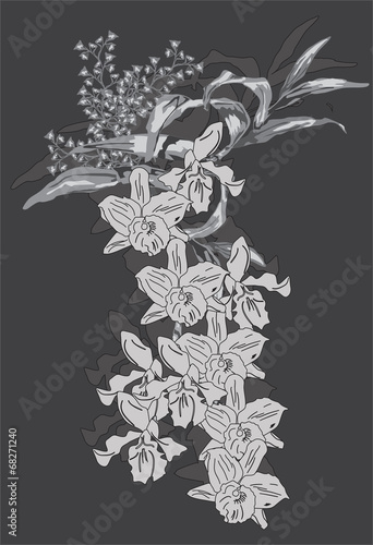 dark gray orchid branches sketch