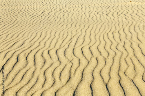 Bird tracks on the sand