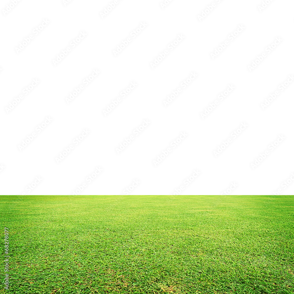 meadow with white space
