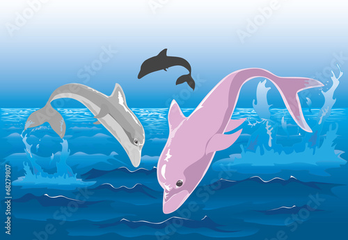 Delfini