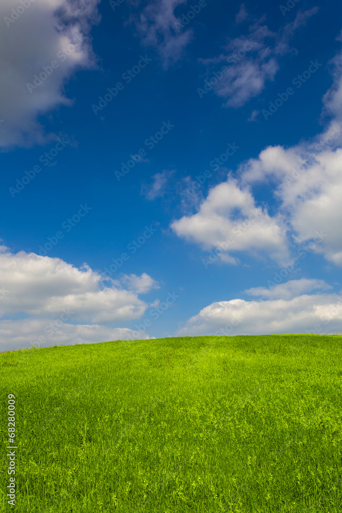 Obraz premium Beautiful green landscape