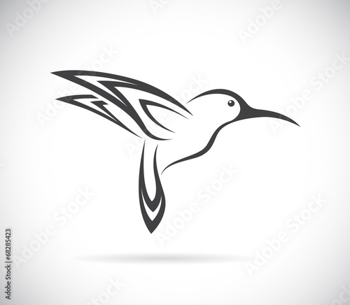 Valokuva Vector of hummingbird design. Bird. Animals.