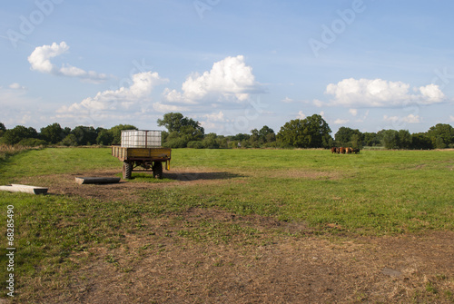 Farm scene - beef cattle, water tank and trough