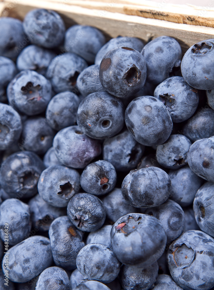 Blueberry antioxidant organic superfood Blueberry antioxidant organic superfood