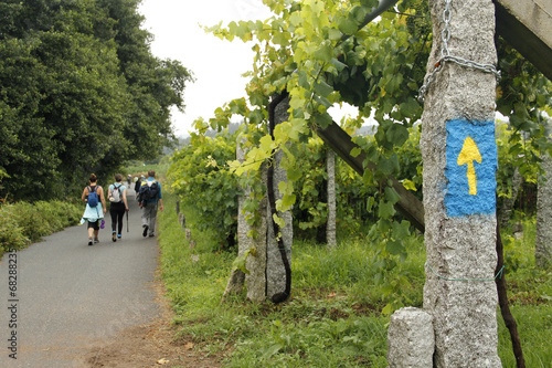 Camino de Santiago
