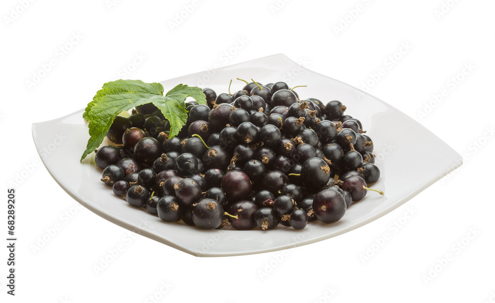 Black currant Black currant