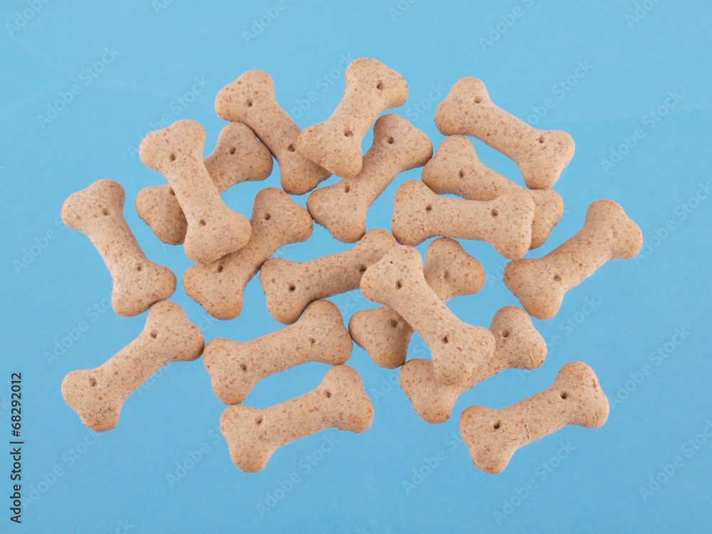 dog biscuits in the shape of boneson a blue background dog biscuits in the shape of boneson a blue background