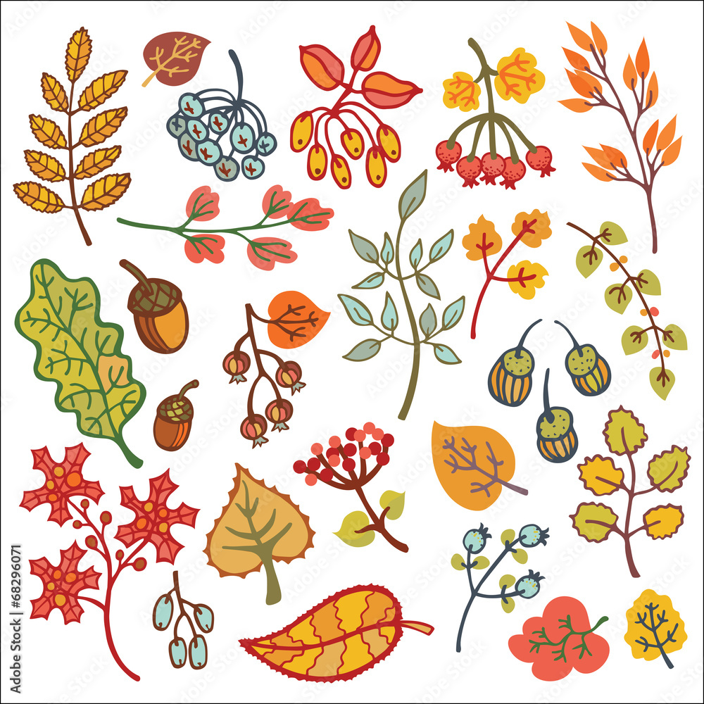 Obraz premium Decorative autumn leaves