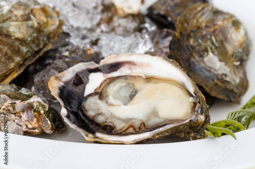 fresh oyster on a plate close-up