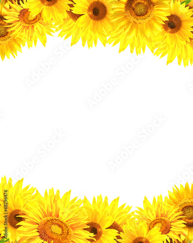 Fototapeta Naklejka Na Ścianę i Meble -  Border with sunflowers