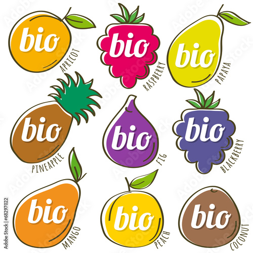 set of organic  fruits, vector illustration