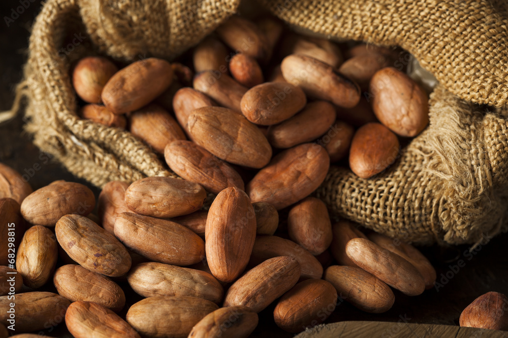 Obraz premium Raw Organic Cocoa Beans