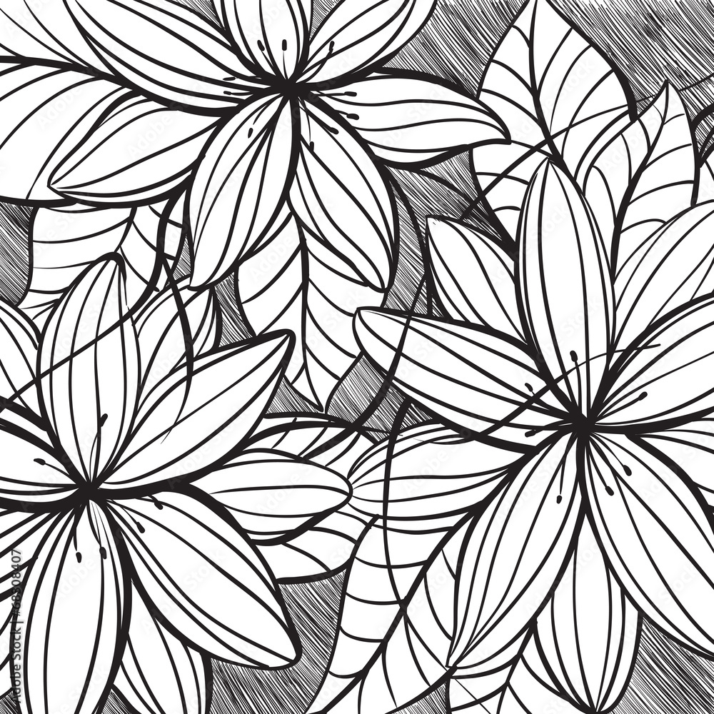 Floral illustration Floral illustration