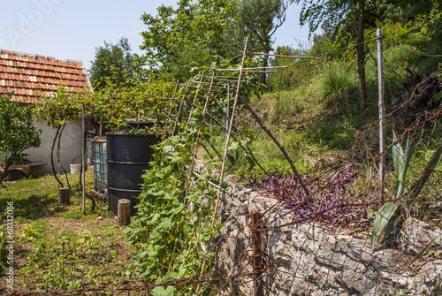 Mediterranean yard with stone wall, grapes and more