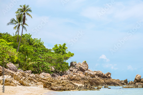 A beautiful tropical beach with palm trees at Koh Phangan island