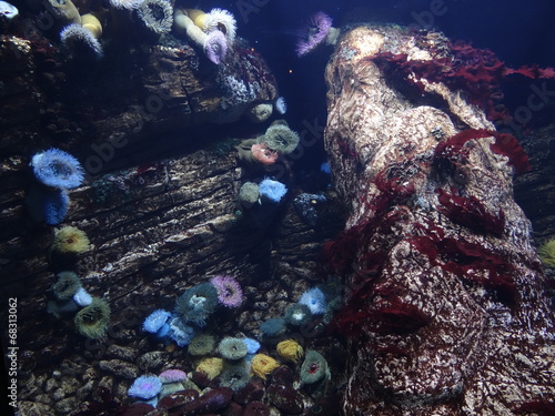 Oceanarium de Lisbonne - Portugal