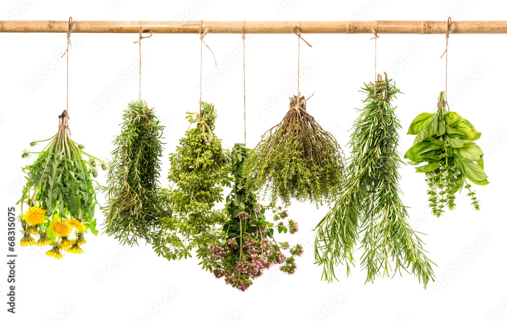 Fototapeta fresh healthy herbs hanging isolated on white background