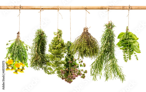 fresh healthy herbs hanging isolated on white background