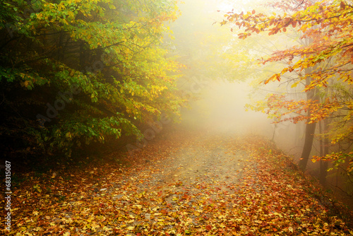 Fototapeta Naklejka Na Ścianę i Meble -  Mountain road in autumn colours