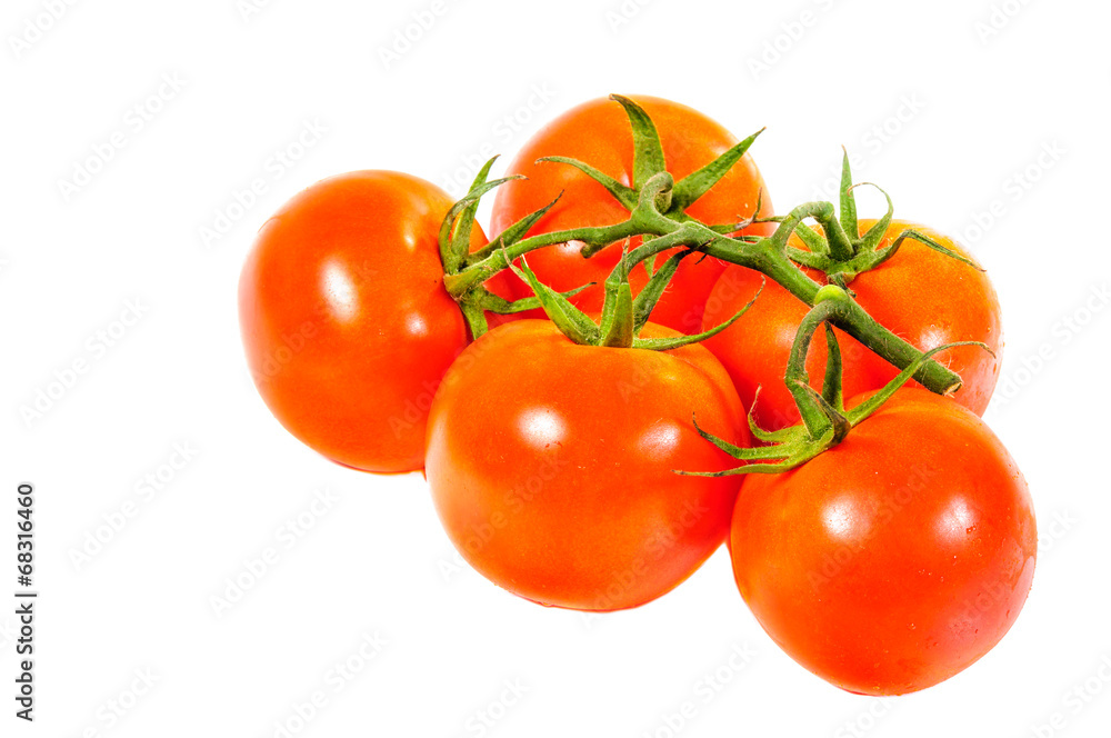 Tomatos