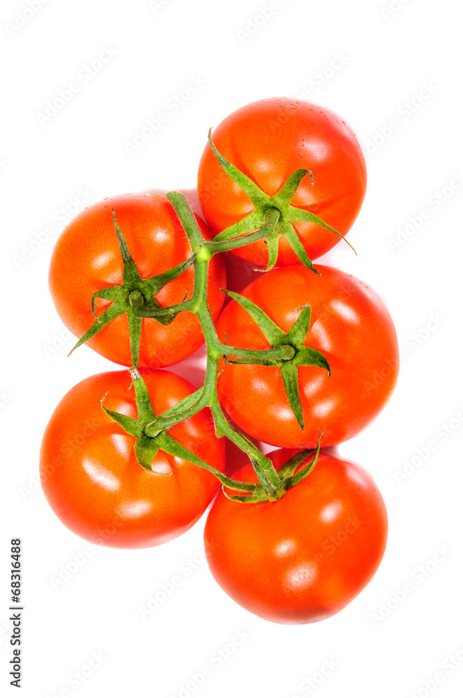 Tomatos Tomatos