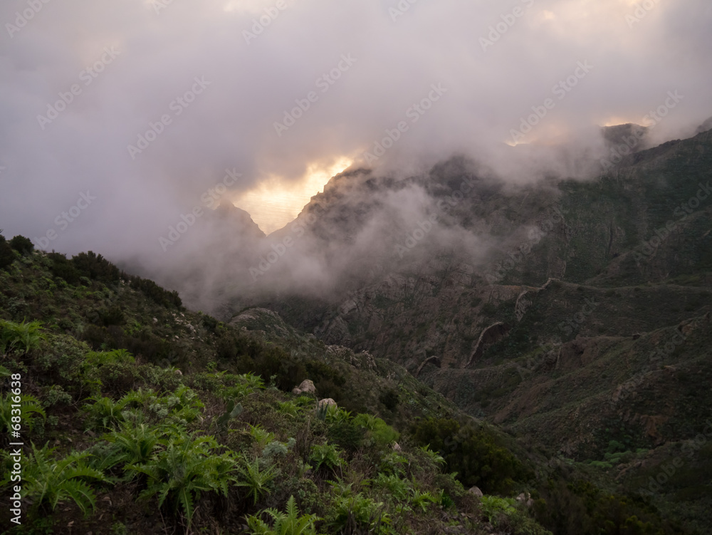 Nebel im Gebirge Teneriffas