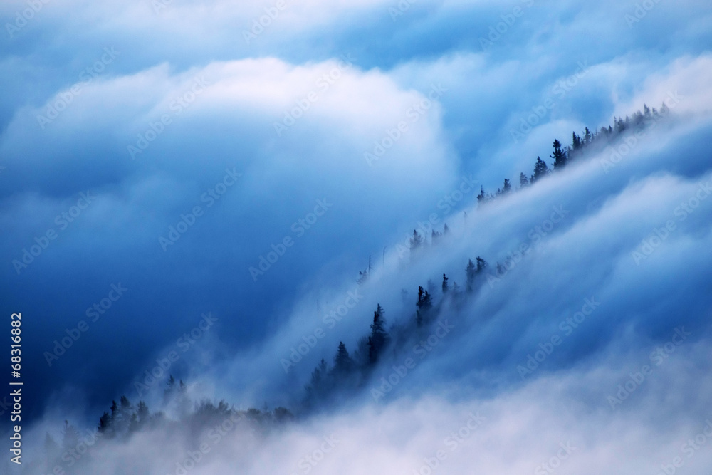 Alpine sea of clouds